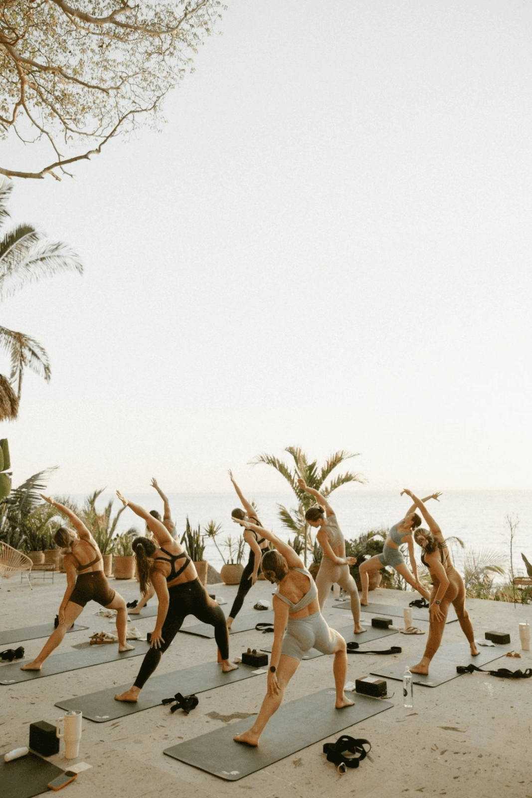 Somewhr wellness visual